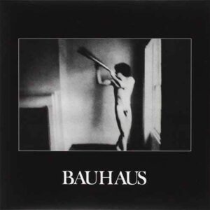 BAUHAUS In the flat field CD
