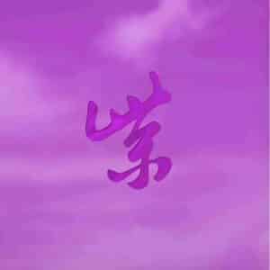 STONE TEMPLE PILOTS Purple rarities RSD BLACK FRIDAY LTD PURPLE LP