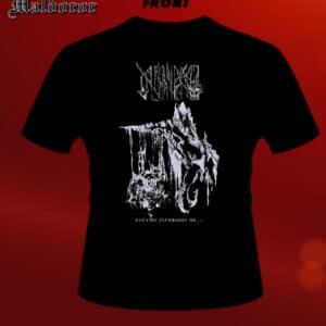 AVMAKT Satanic inversion of.. TS
