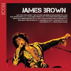 JAMES BROWN Icon CD