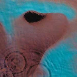 PINK FLOYD Meddle CD paper sleeve