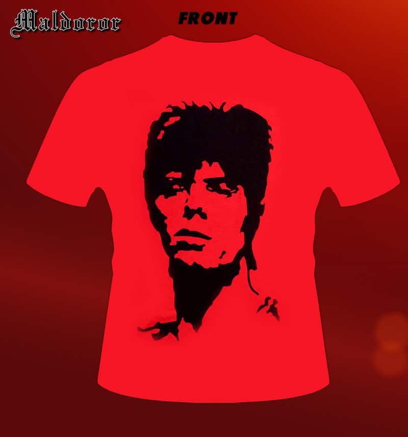 DAVID BOWIE 1973 Monochrome TS
