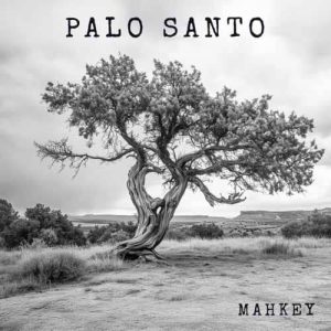 MAHKEY Palo santo CD DIGI