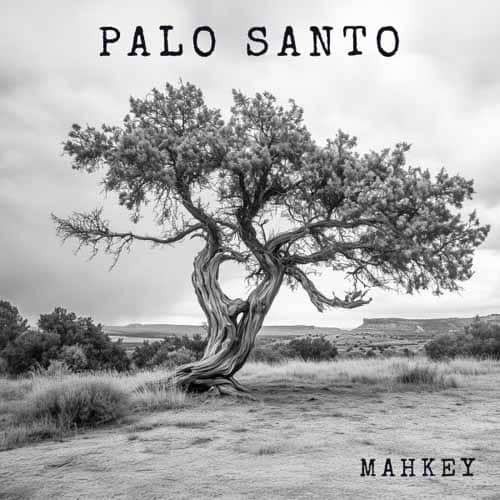 MAHKEY Palo santo CD DIGI