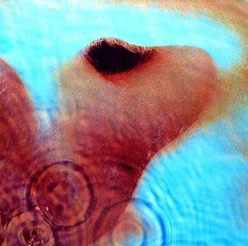 PINK FLOYD Meddle RM LP