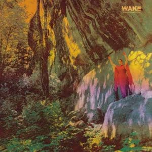 WAKE Thought form decent LTD GREEN LP