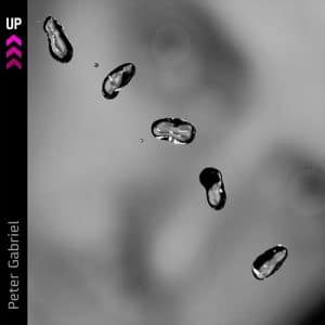 PETER GABRIEL Up CD