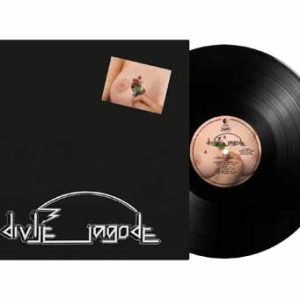 DIVLJE JAGODE Divlje jagode LP