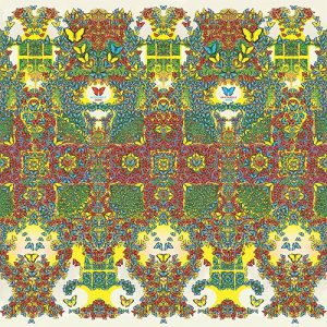 KING GIZZARD AND THE LIZARD WIZARD Butterfly CD paper sleeve