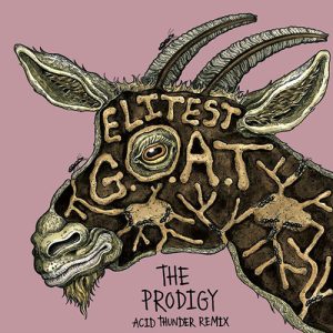 SLEAFORD MODS & THE PRODIGY Elitest Goat 7inch vinyl