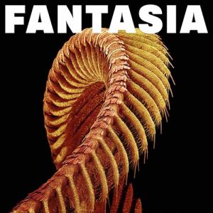 SLIFT Fantasia COLOURED LP