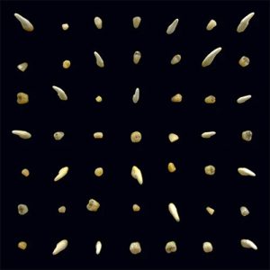 CLIPPING Visions of bodies being burned 2LP
