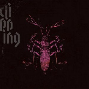 CLIPPING Dead chanel sky (loser edition) PINK 2LP